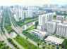Đầu tư đất nền: từ sốt ảo đến lừa đảo Đầu tư đất nền: từ sốt ảo đến lừa đảo