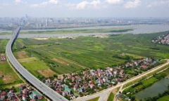 Hơn 300 sàn môi giới đứng trước nguy cơ đóng cửa