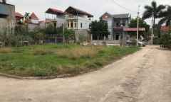Trắng tay khi mua chung đất, vì bị bạn “lật bài”