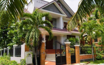 Nên trồng cây gì trước nhà và một số lời khuyên cần lưu ý
