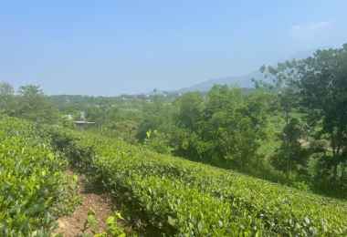 Bán 1440m2 đất tại thôn 2, Ba Trại, Ba Vì, Hà Nội. Giáp dự án FLC View hồ Bán 1440m2 đất tại thôn 2, Ba Trại, Ba Vì, Hà Nội. Giáp dự án FLC View hồ